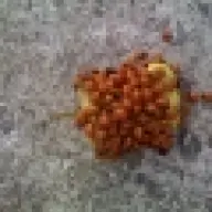 2mate