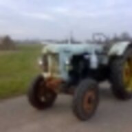 Famulus36Wustrow