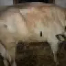 5011