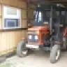 David_5211
