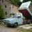 daf-molli-driver
